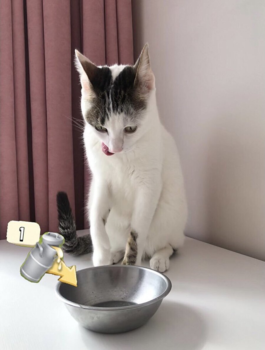 Bizim oyun bağımlılığı şu seviyede