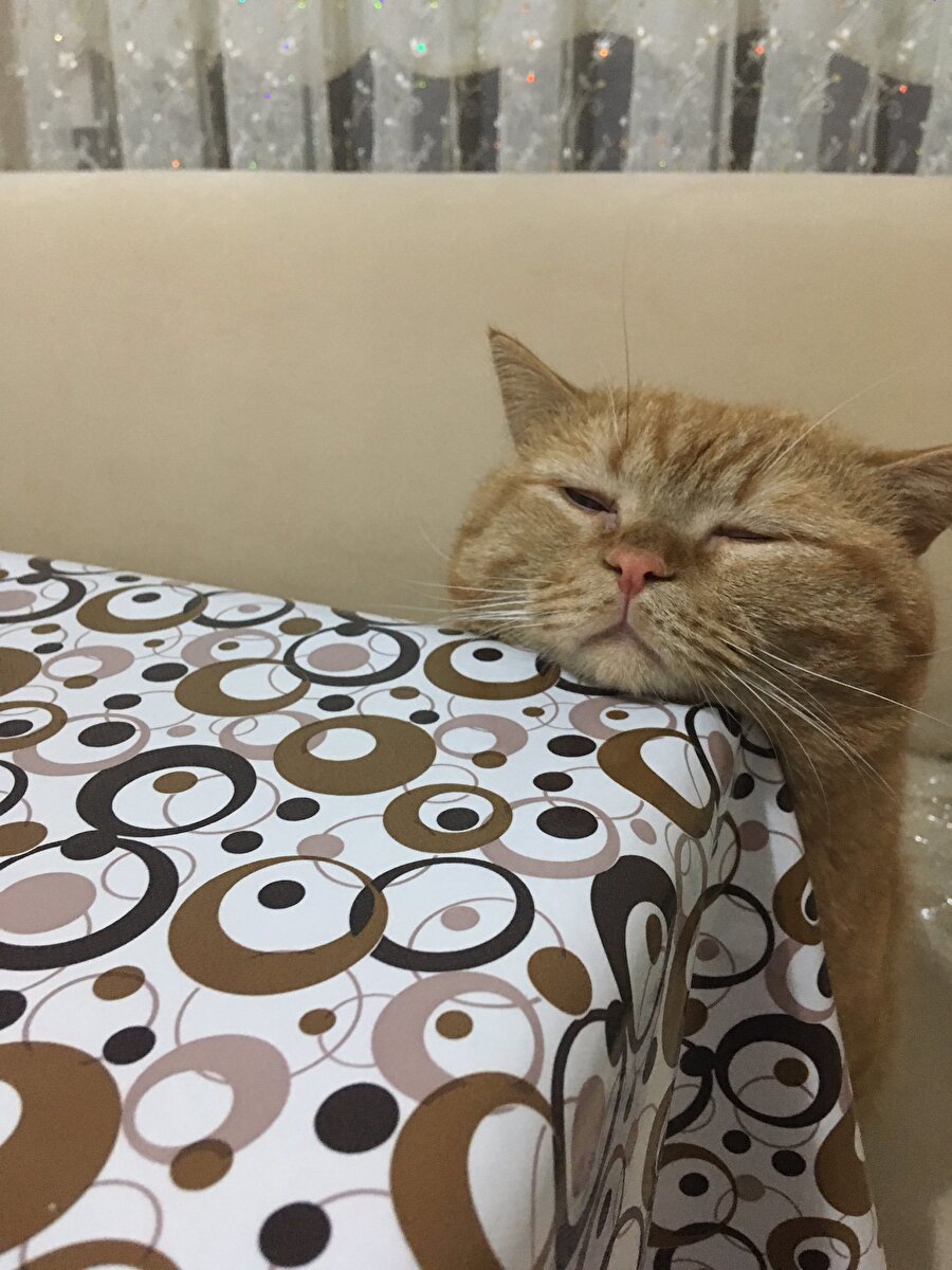 Sana farz değil sen tutma