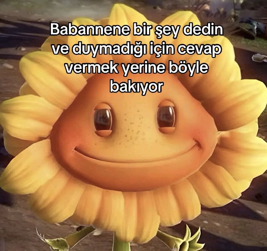 Tam olarak bu