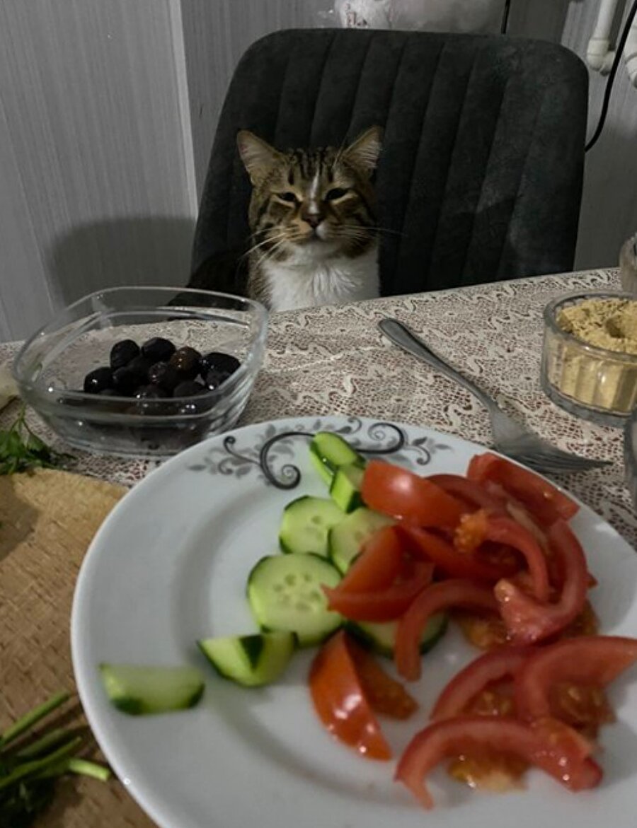 Yaramıyorsa tutma