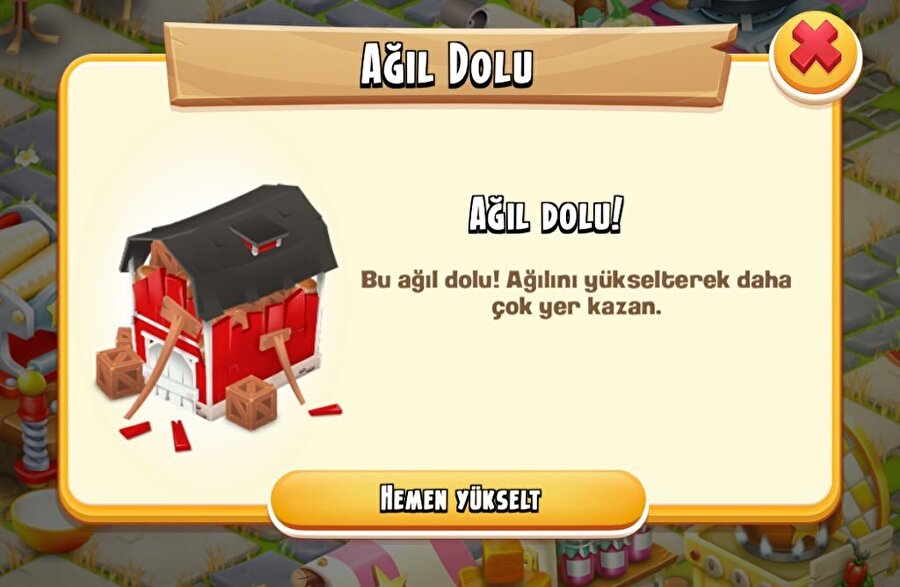 Ders dinlerken bizim zihin