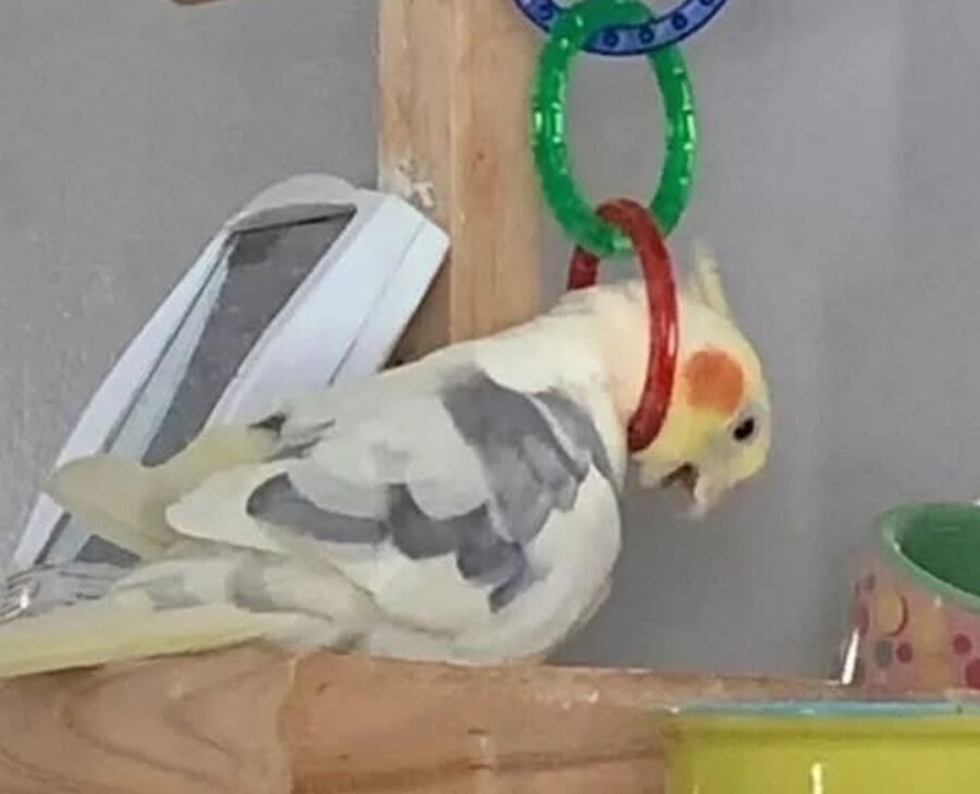 Yaptığım şaka anlaşılmayınca bendir