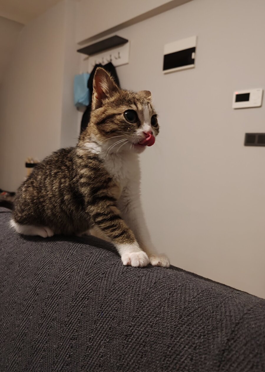 İftara kadar aldığımız herhangi bir kokuya karşı biz