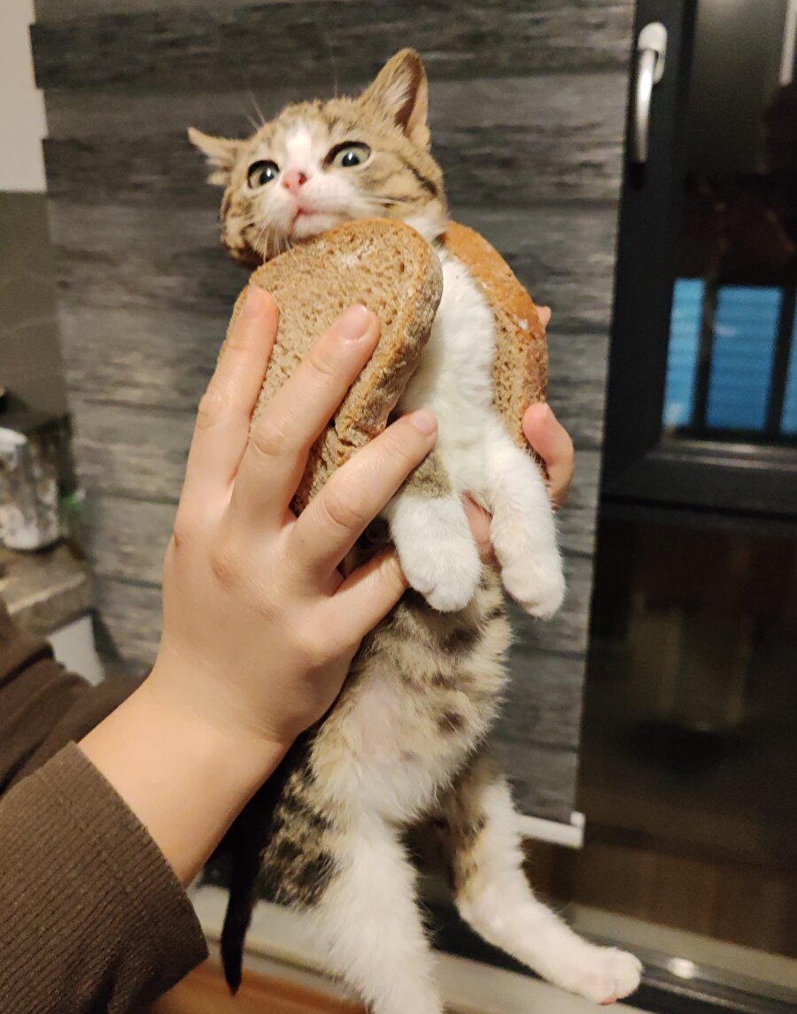 Gözlerindeki o korku