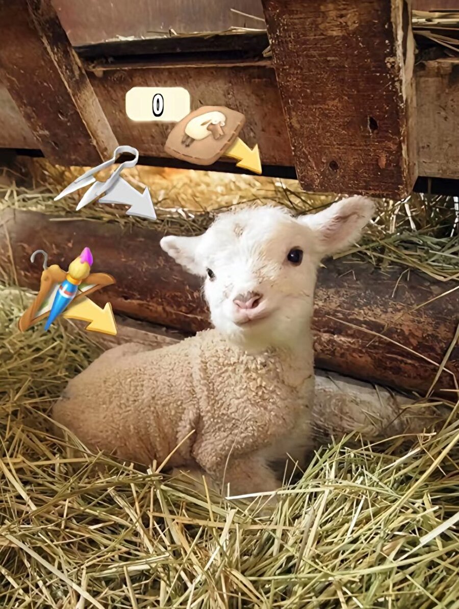 Bizim oyun bağımlılığı şu seviyede