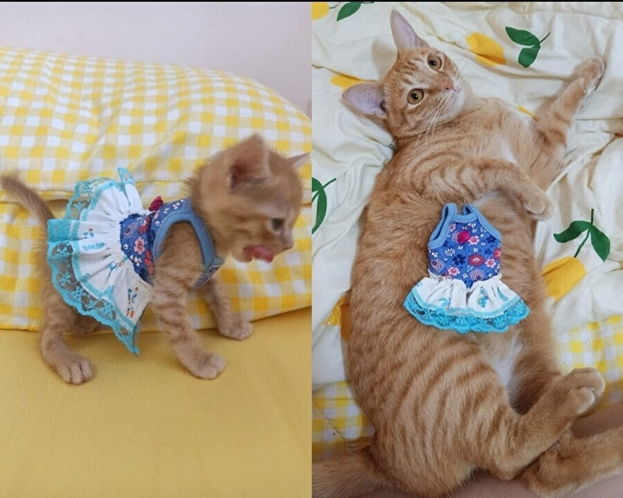 Geçen yazdan kalma kıyafetlerimi deniyorum