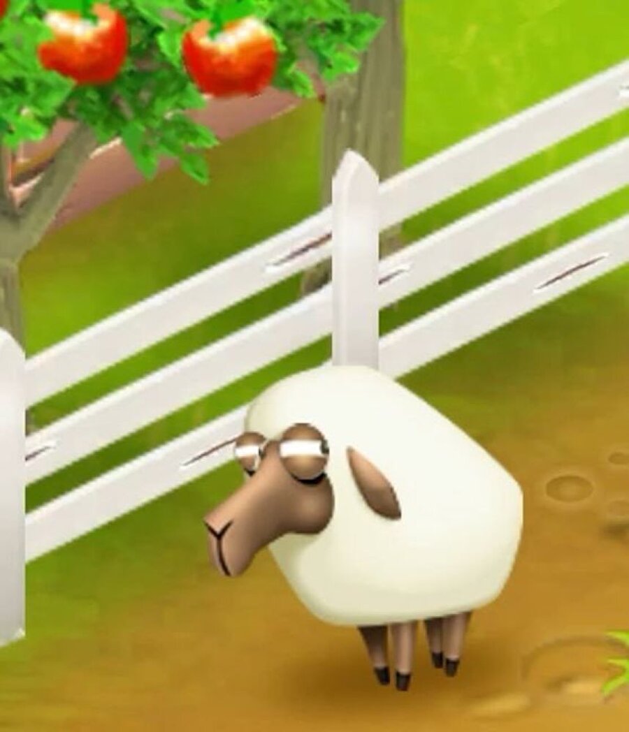 Kimseyi yargılamam dedikten sonra etrafa attığım bakışlar