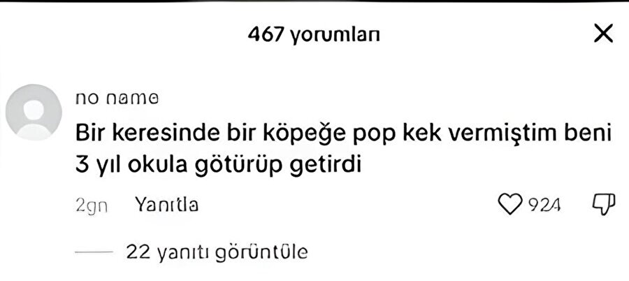 Arkadaşlarıma duyduğum sadakat seviyesi