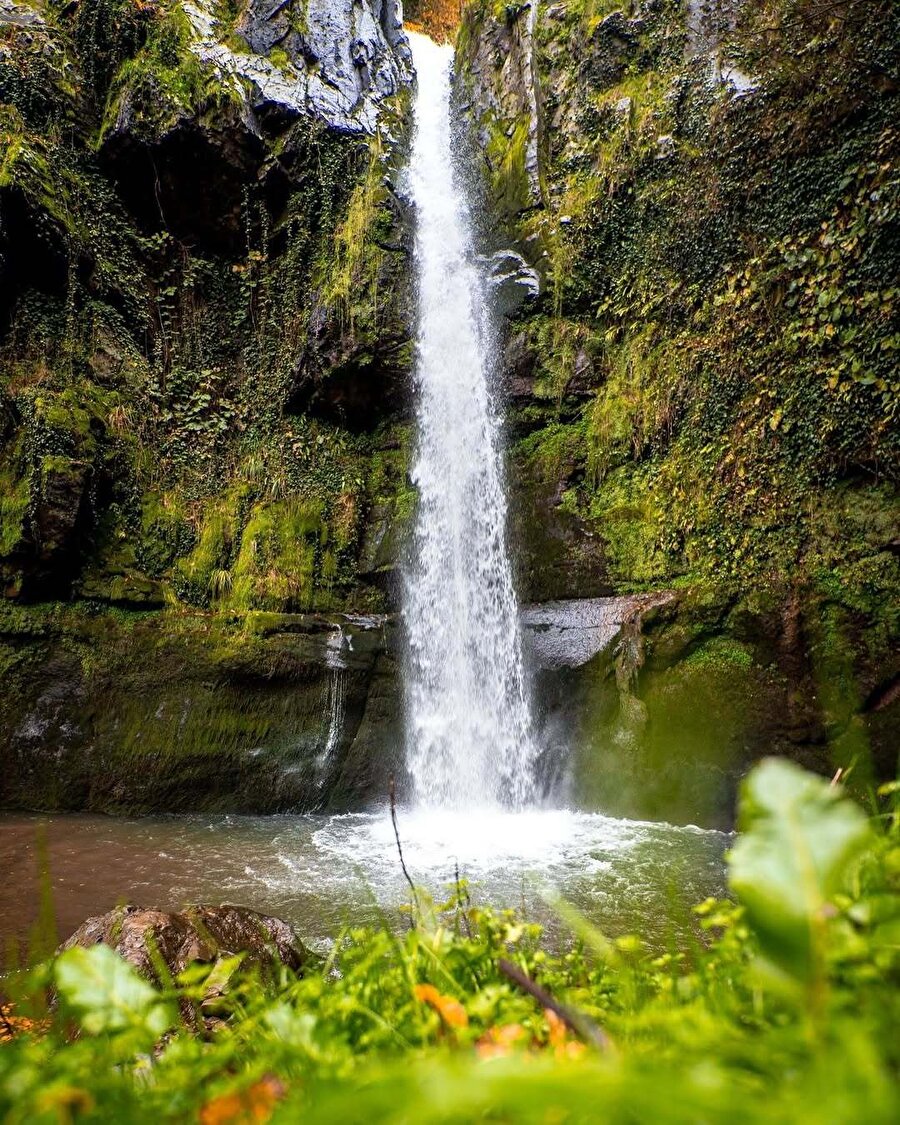 Ordu’nun doğal harikası: Ohtamış Şelalesi 🍃