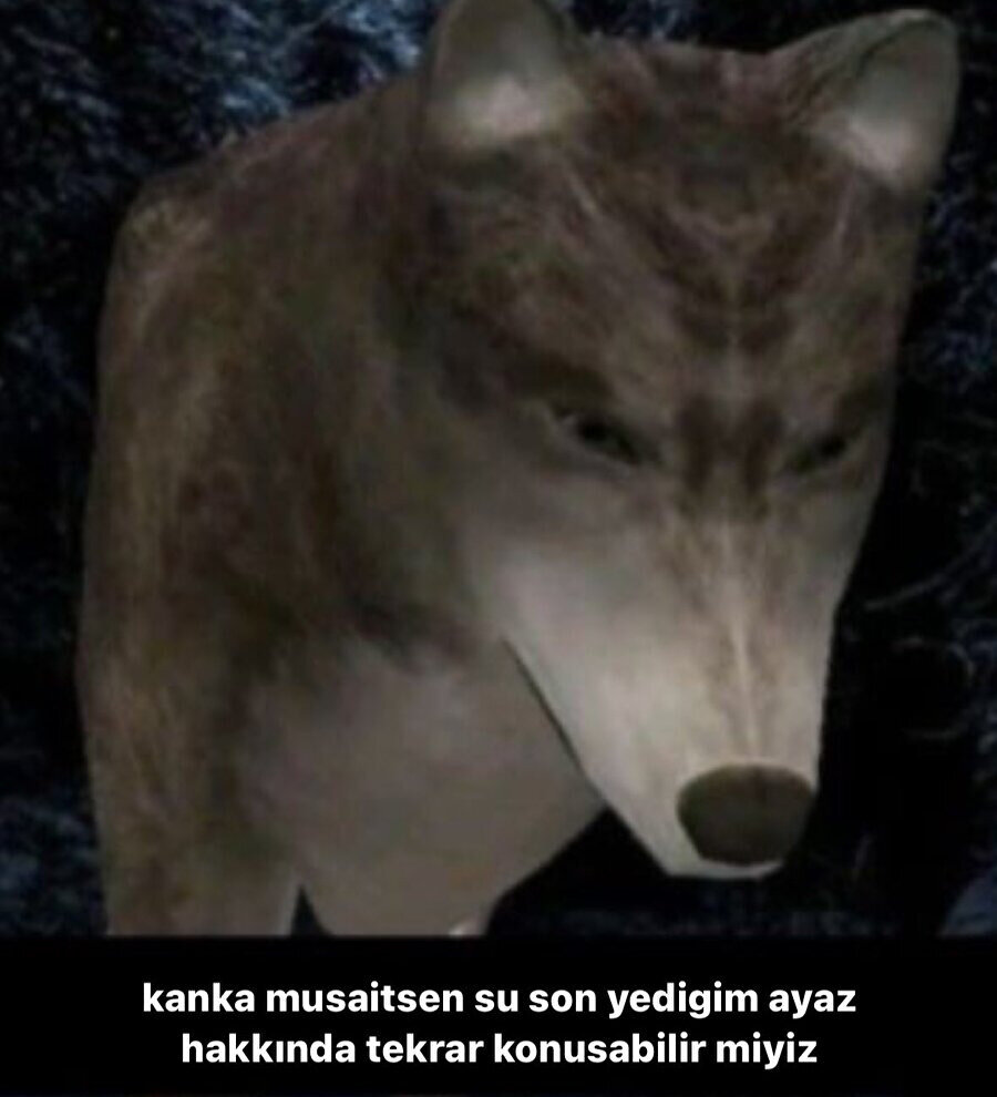 Yine de bizi izinsiz paylaşmanız hoş olmamış