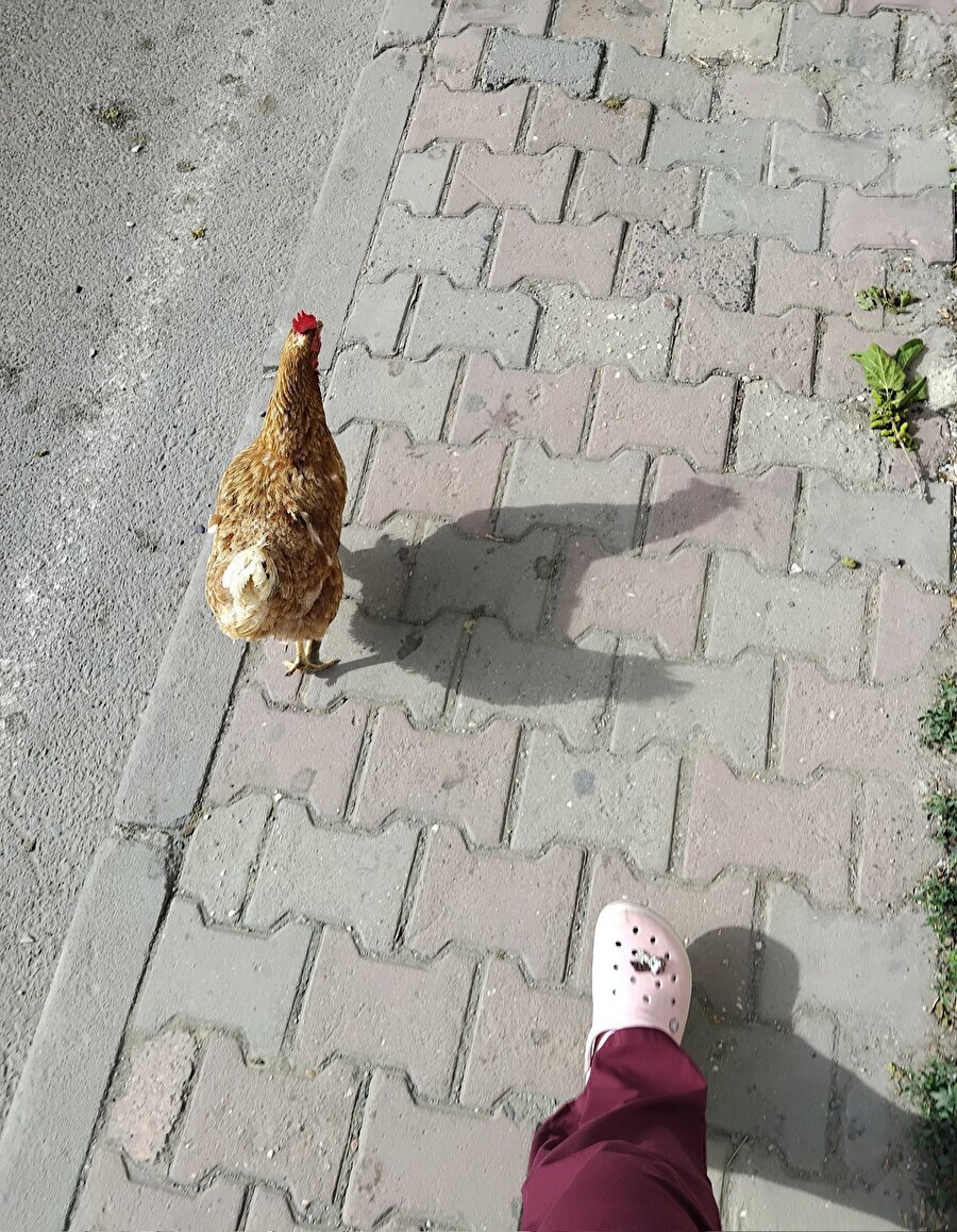 Hazırlanın pansumana gidiyoruz