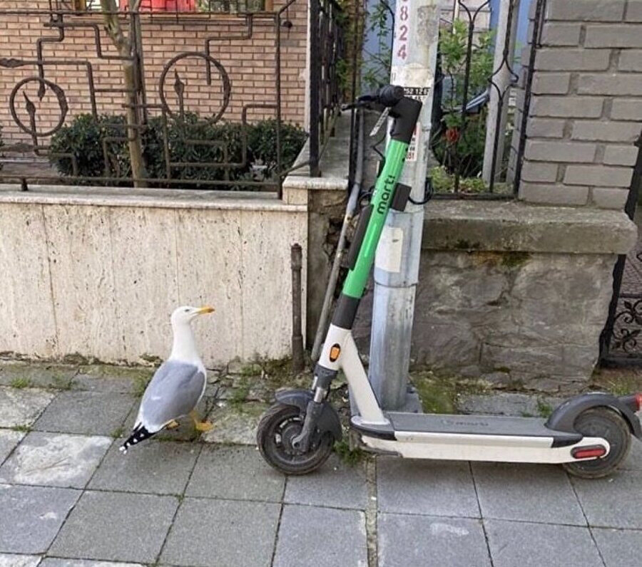 Dünyanın en ikonik anı