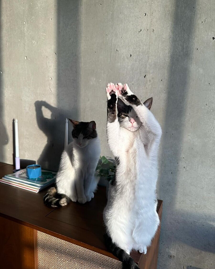 Sevgi böyle bir şey mi?