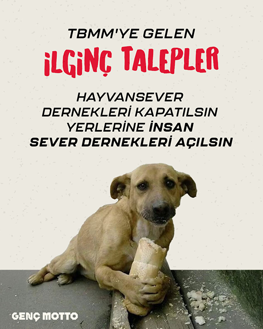 TBMM'ye gelen ilginç talepler