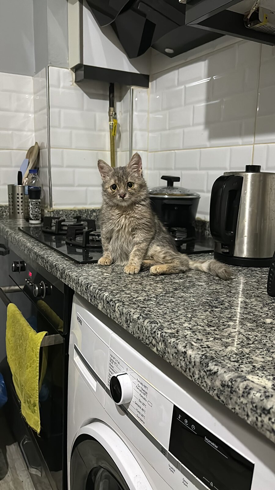 Napmışımkine bakışı