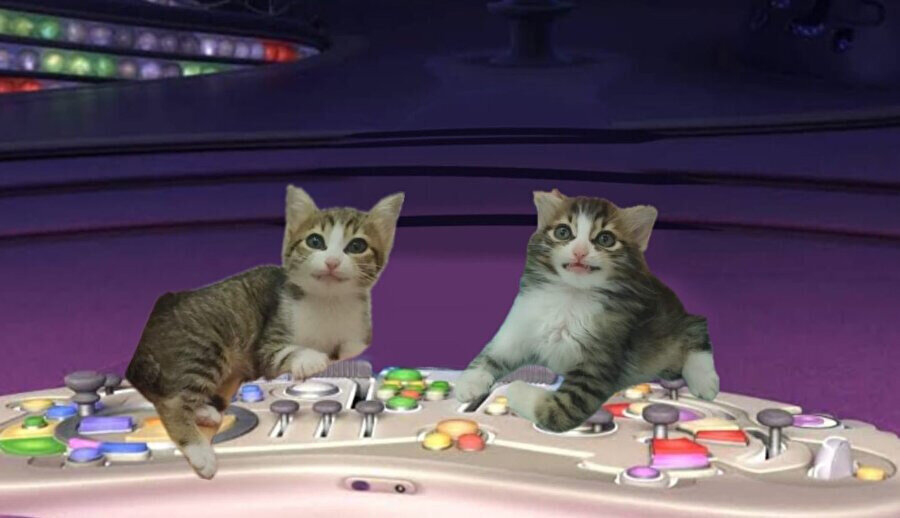 Benim duygulardan sorumlu olan kişiler