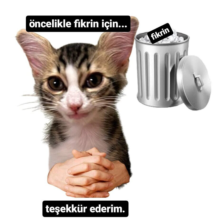 Sevmediğim biri fikrini belirtince ben