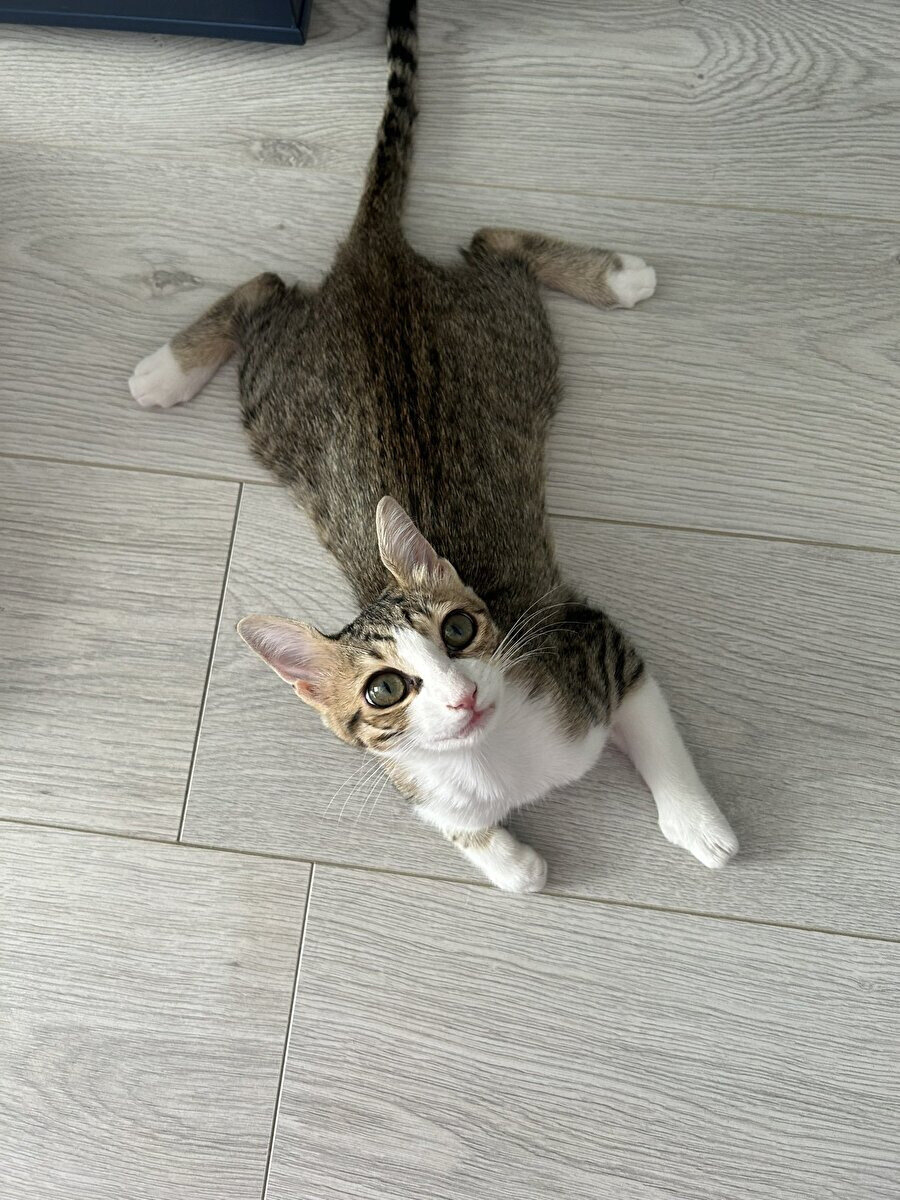 Serinlemek için yaz boyu şöyle konumlanıyoruz