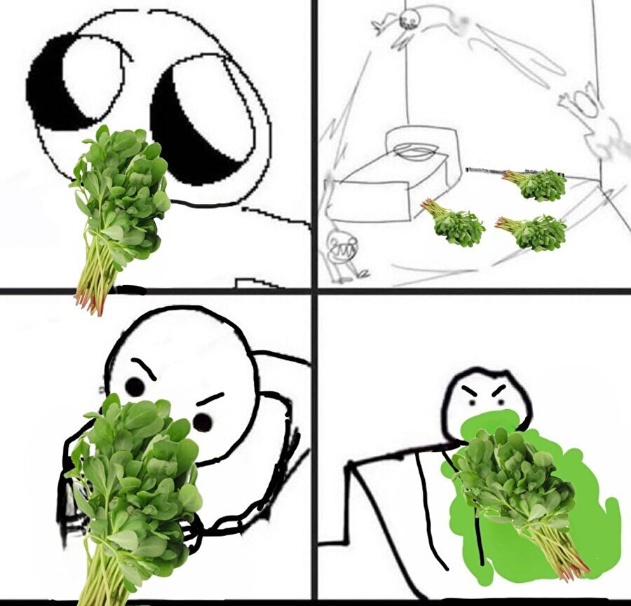 Yaz aylarında bizim semizotu sevdası