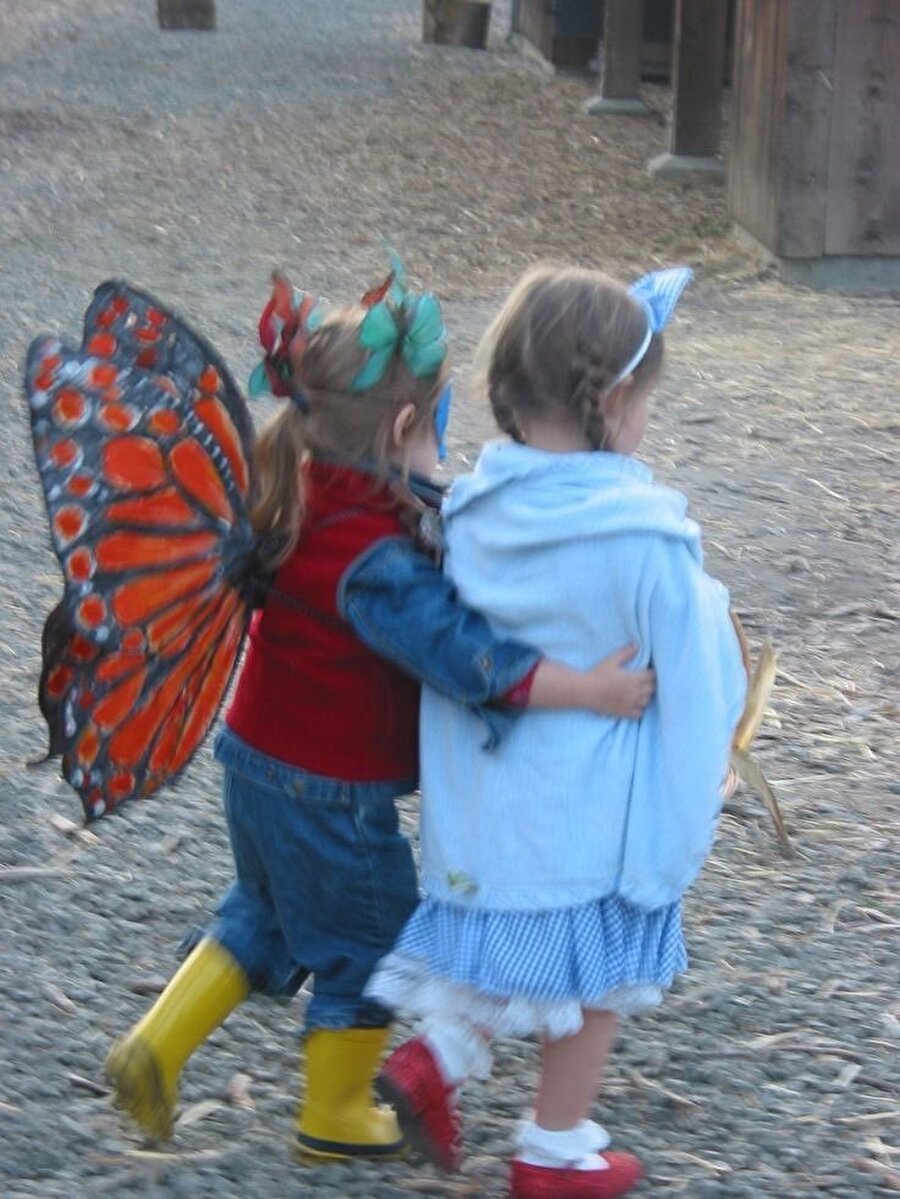 Bizim midemizdeki kelebeklerin garibanlığı