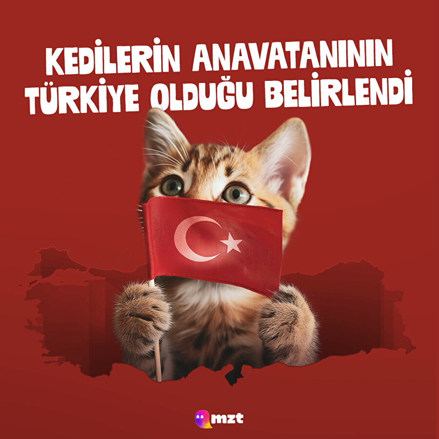 Şaşırmadık