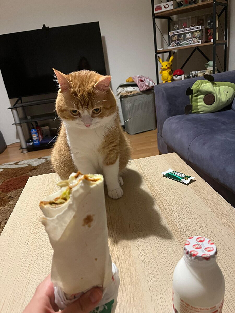 Zihin gücüyle çiğ köfteyi yemeye çalışıyor