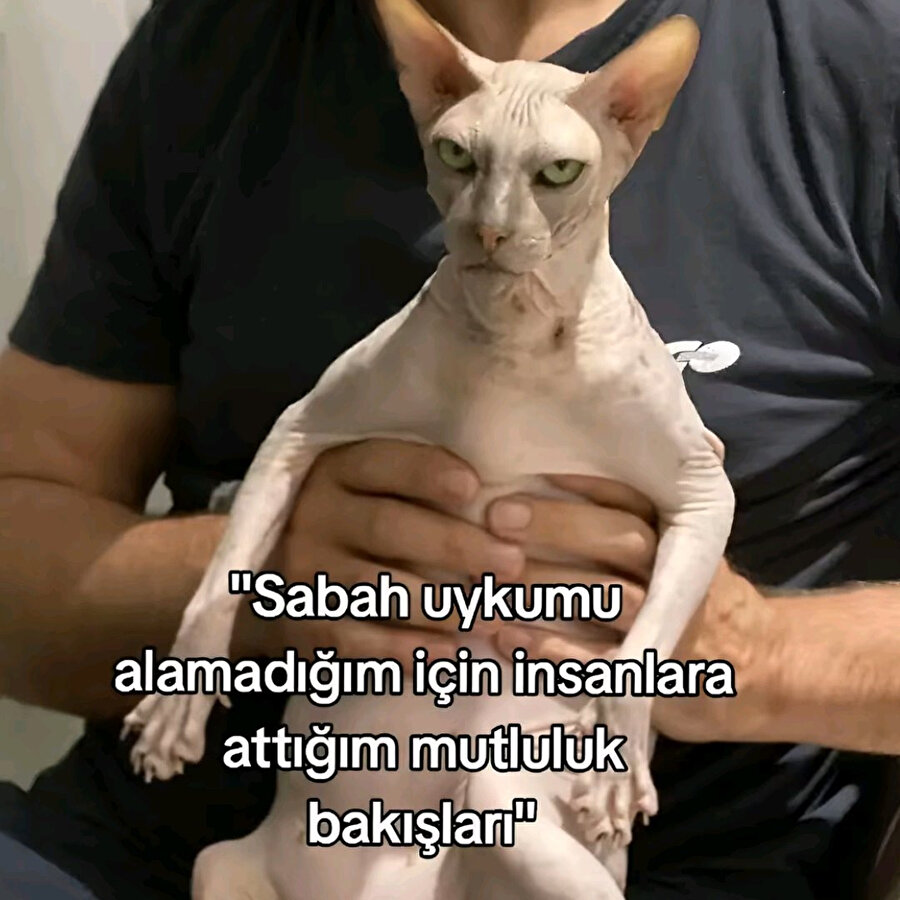 Bizdir