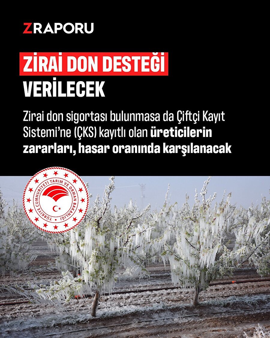 Zirai dondan etkilenen çiftçiye destek verilecek