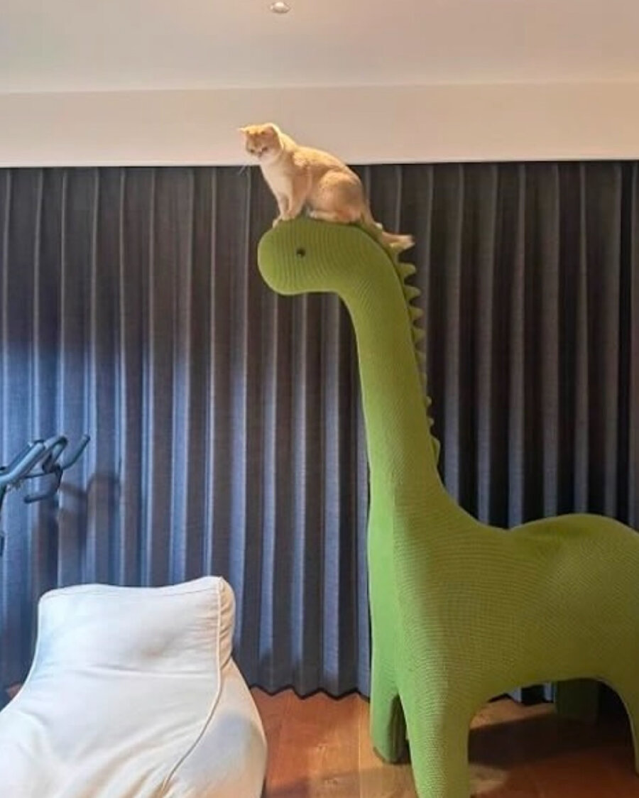 İki görsel ile bütün hikaye