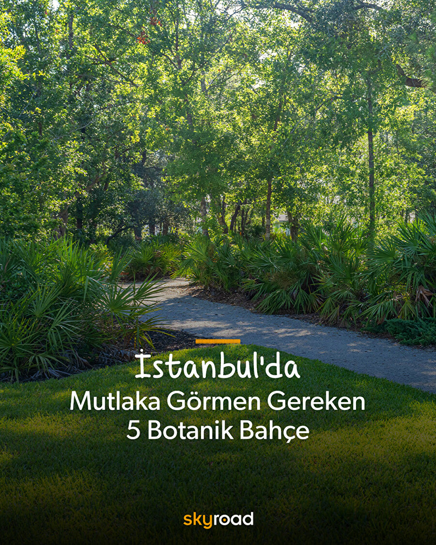 İstanbul’da mutlaka görmen gereken 5 botanik bahçe ✨