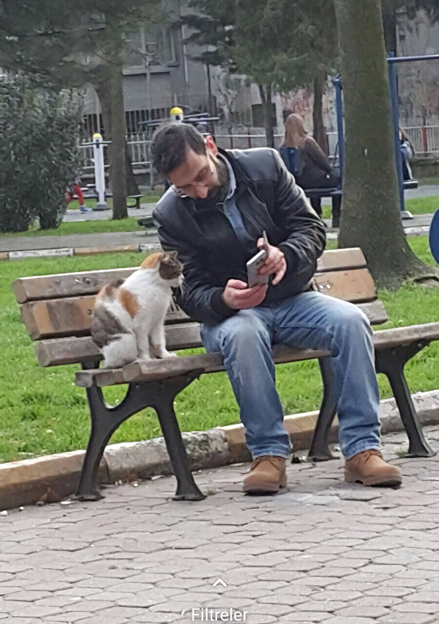 Son cümleyi sil kanka o biraz ağır olmuş