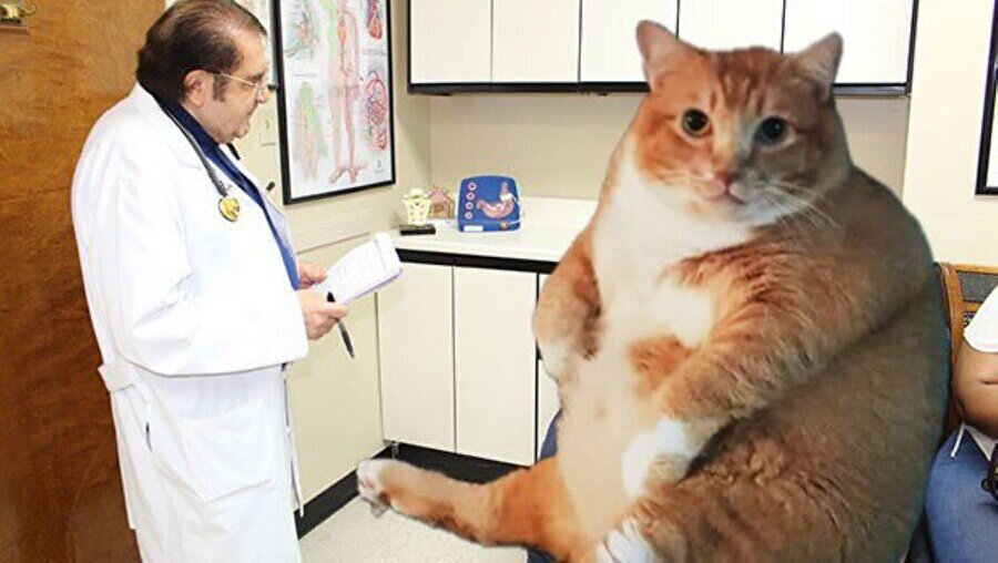 Ağır yaşamlar yeni bölüm