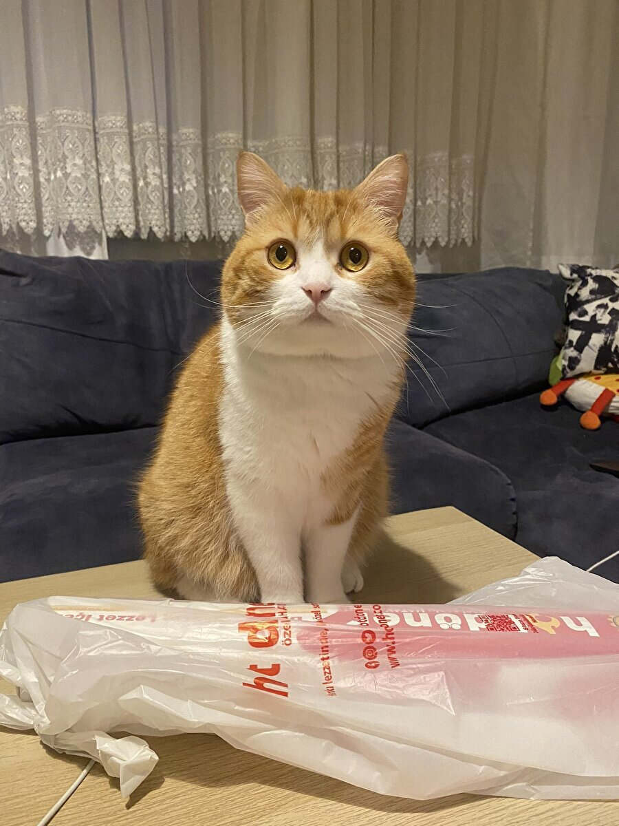 Garsonun yemeğimi getirmesini beklerken sergilediğim duruş