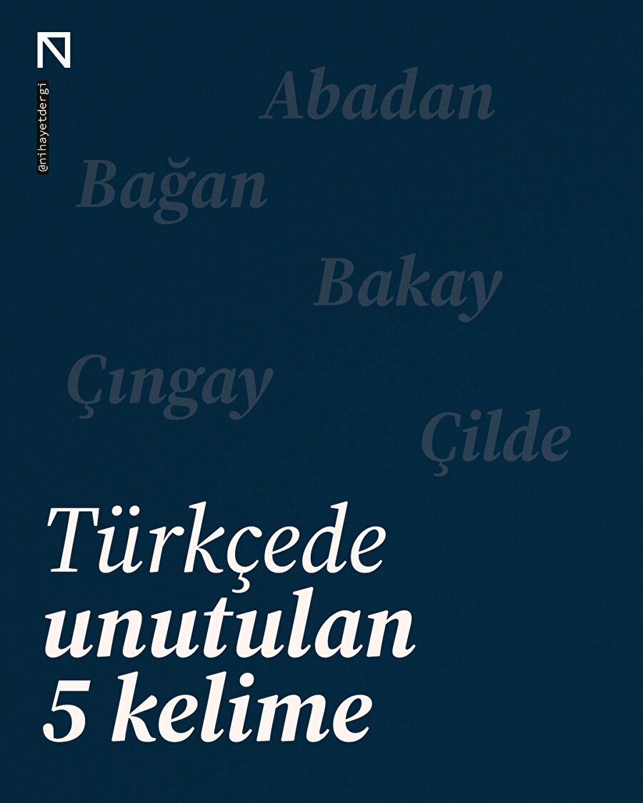 📝 Türkçede Unutulan 5 Kelime
