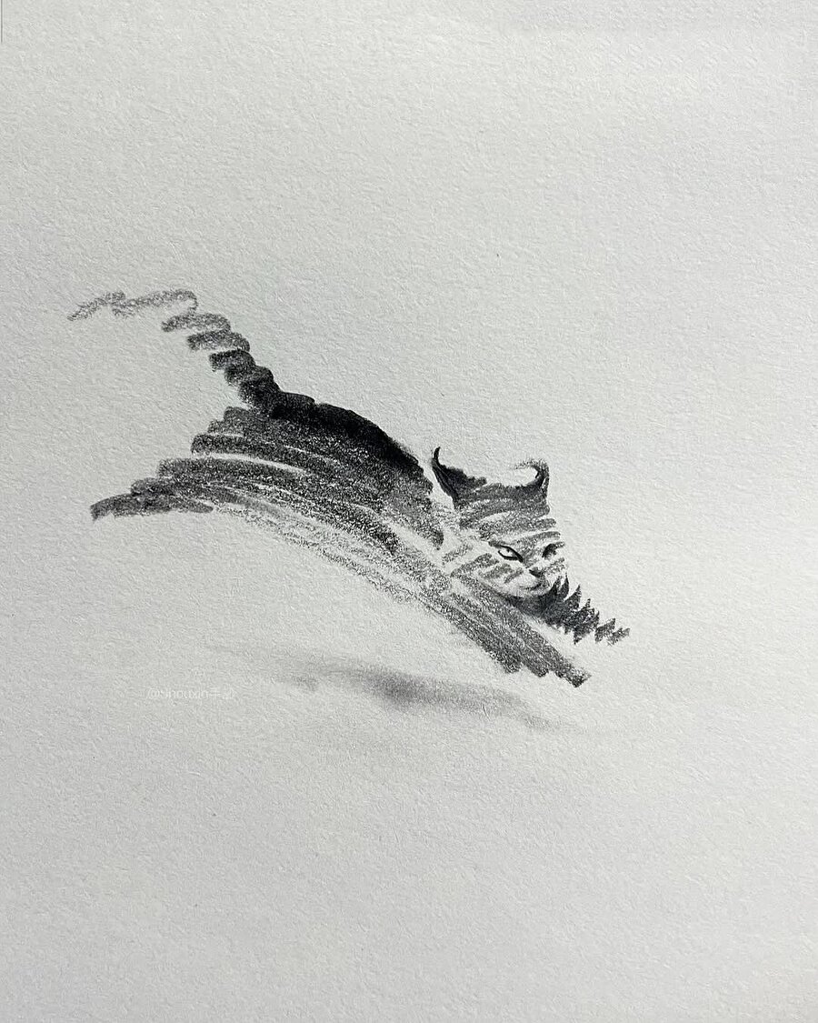 Çizimin gözünden kediler!