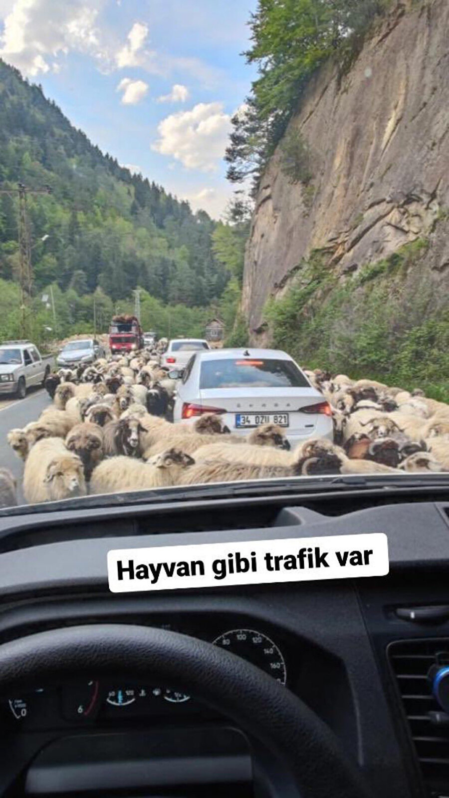 5 saniye düşündüğüm espri 