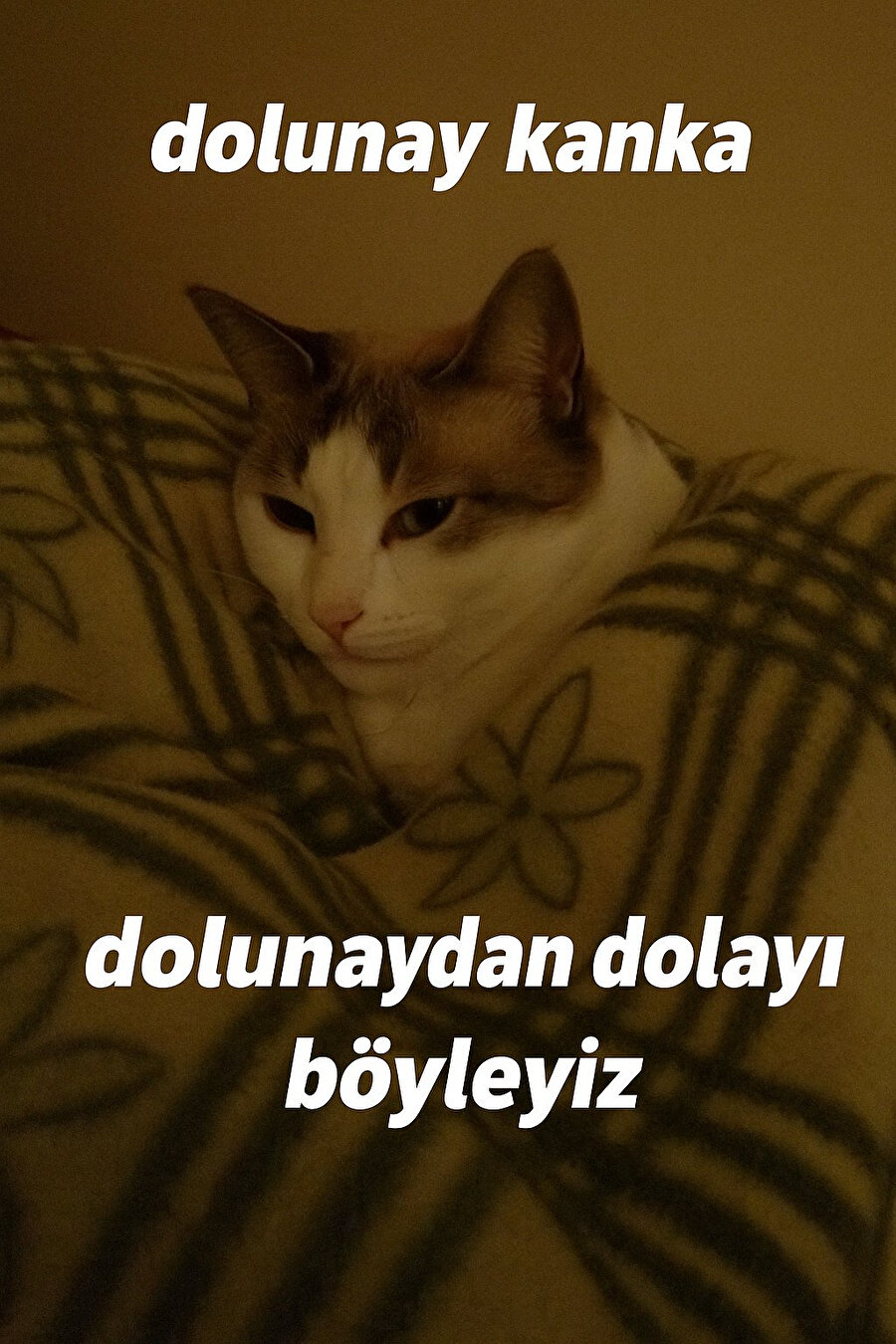 Bizim başımıza gelen bütün olayları doğa olayına bağlama yeteneği