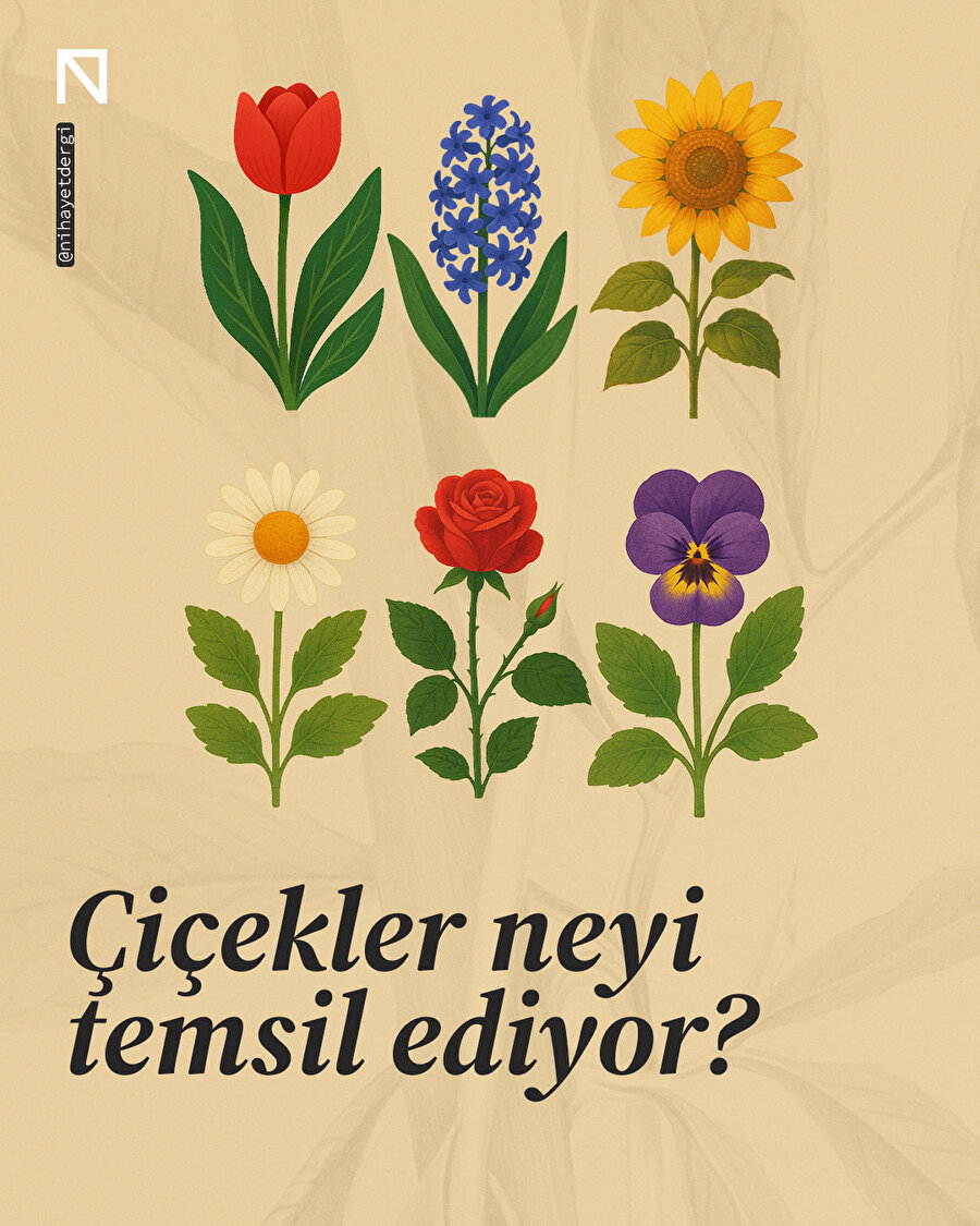 Her çiçek bir duygunun dili 🌸