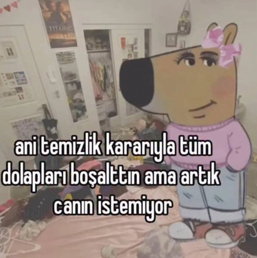 Tam olarak bu kişiyiz