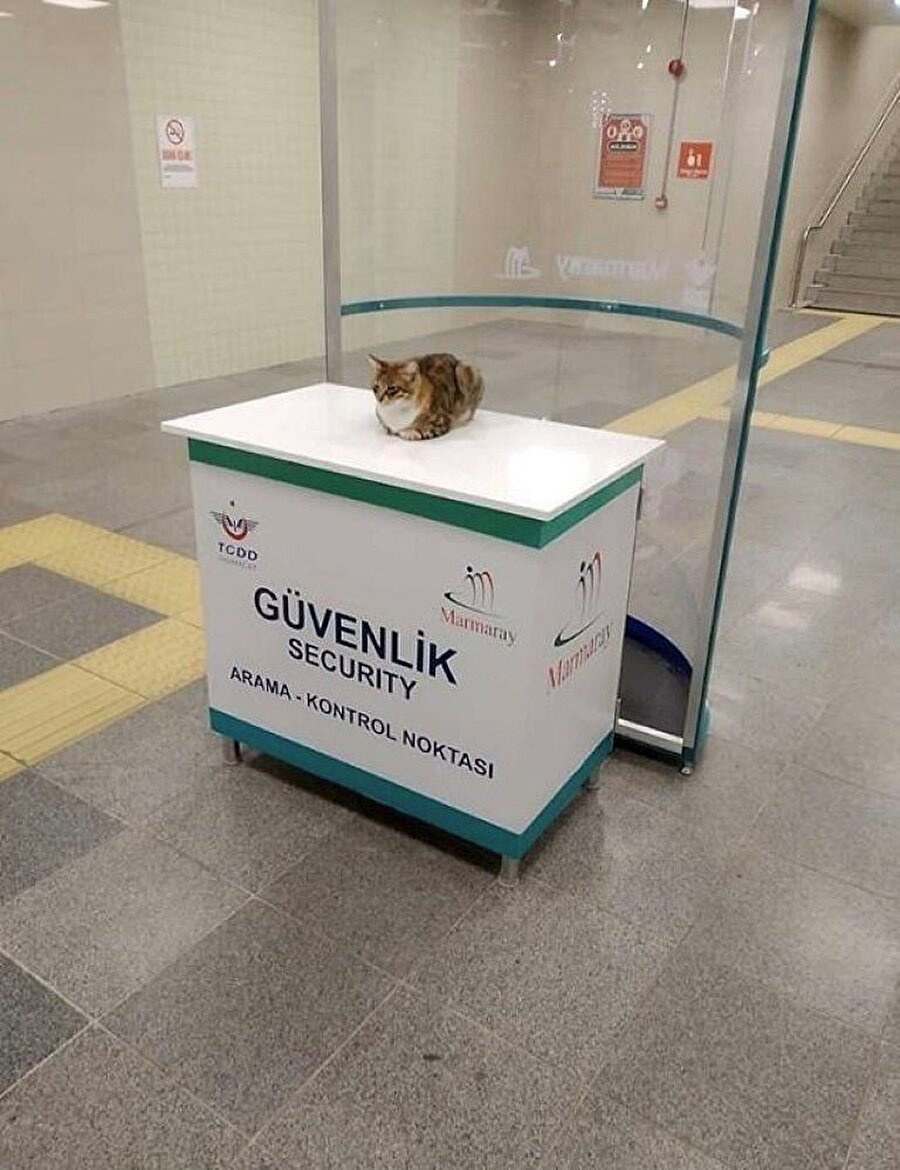 Gerçek simetri hastaları