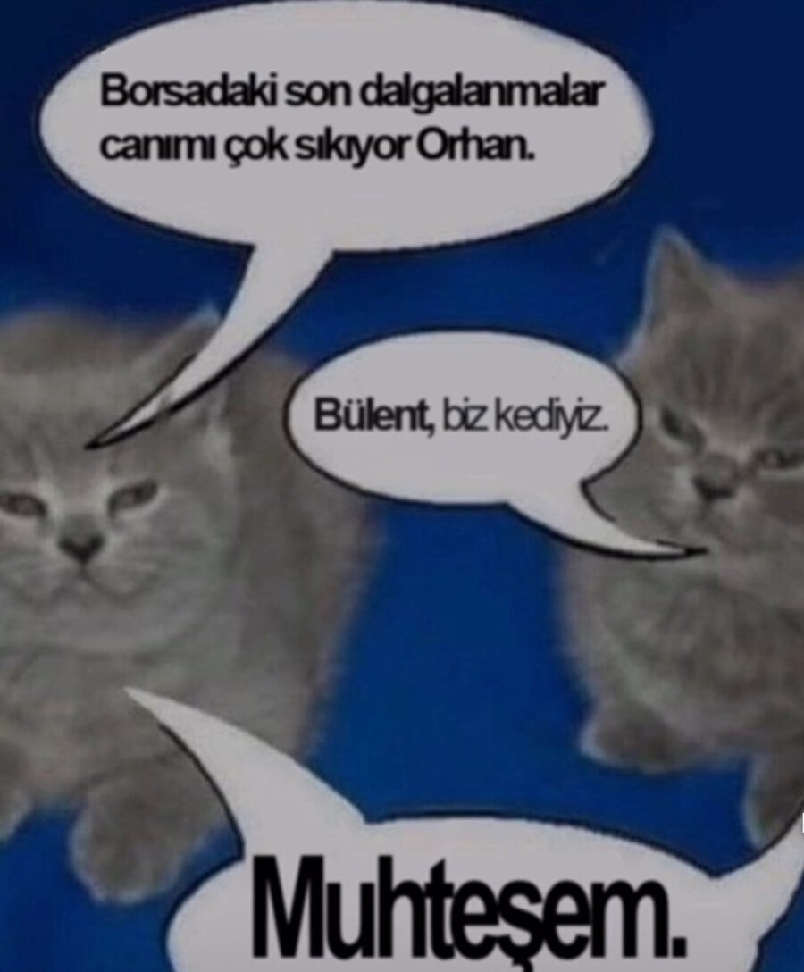 Olmak istediğimiz tek canlı