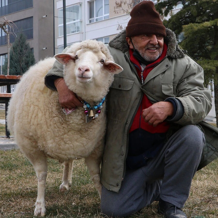 Gerçek bir "ben sana kurban olurum" dostluğu