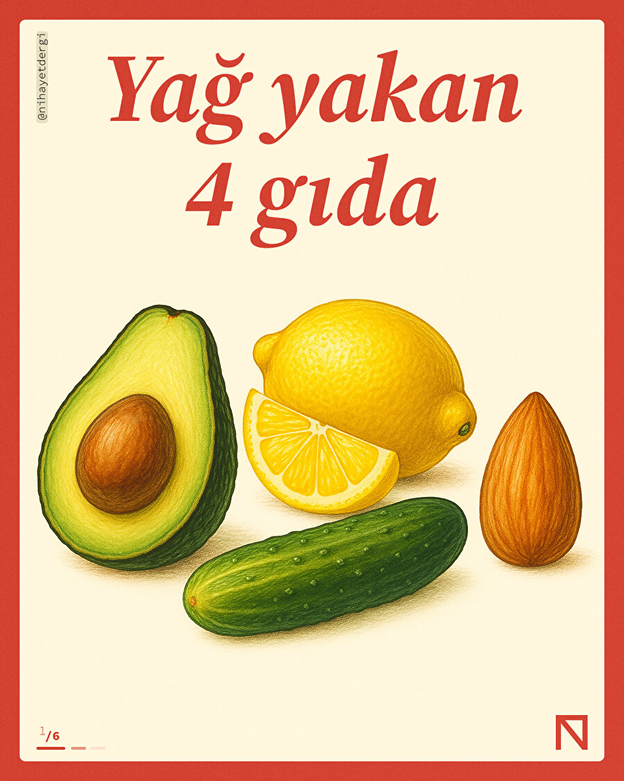 💡 Yağ yakımına destek 4 doğal gıda