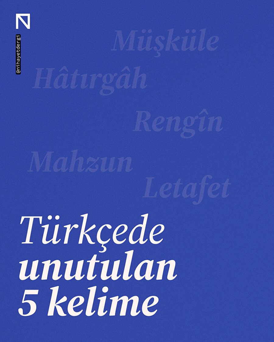 📝 Türkçede Unutulan 5 Kelime