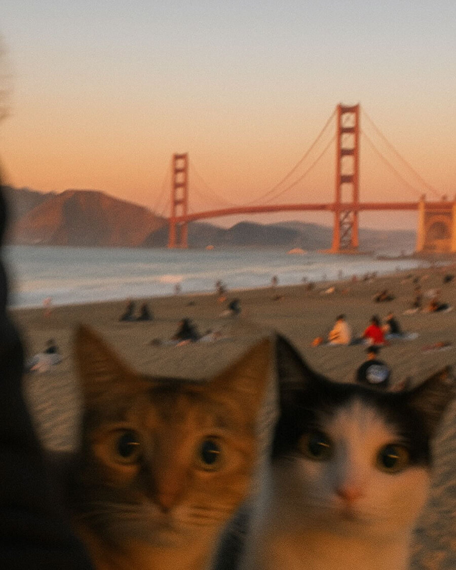 Arkadaşımız ile bir araya gelince çekildiğimiz fotoğraflar