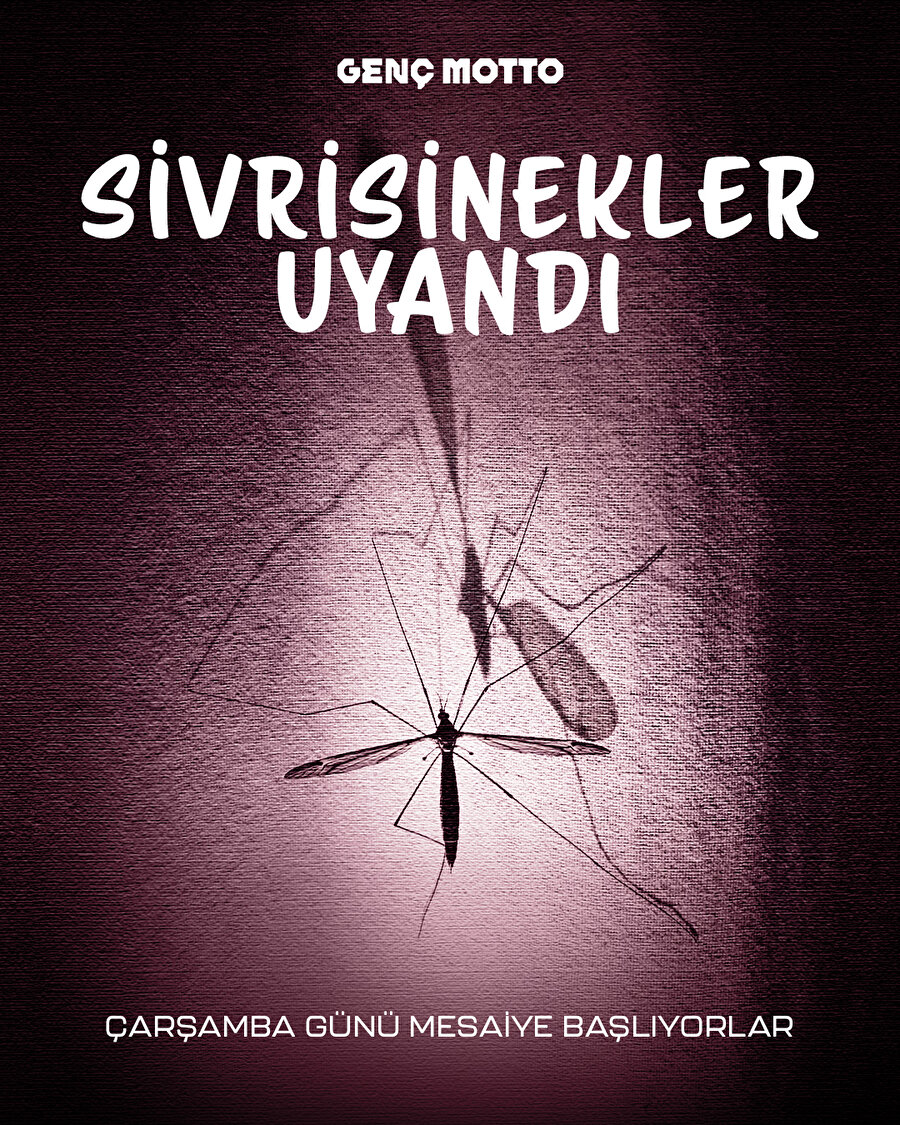 Sivrisinekler uyandı