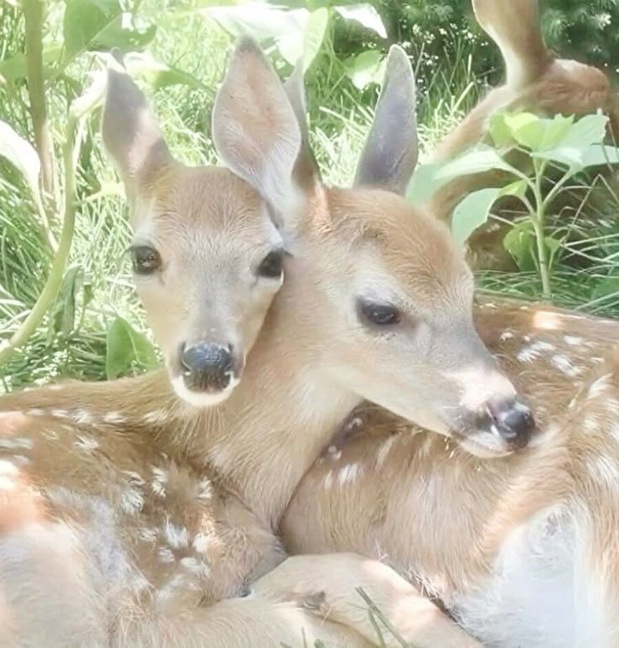 Yazışımdan bile moralimin bozuk olduğunu anlayan arkadaşım ile ben