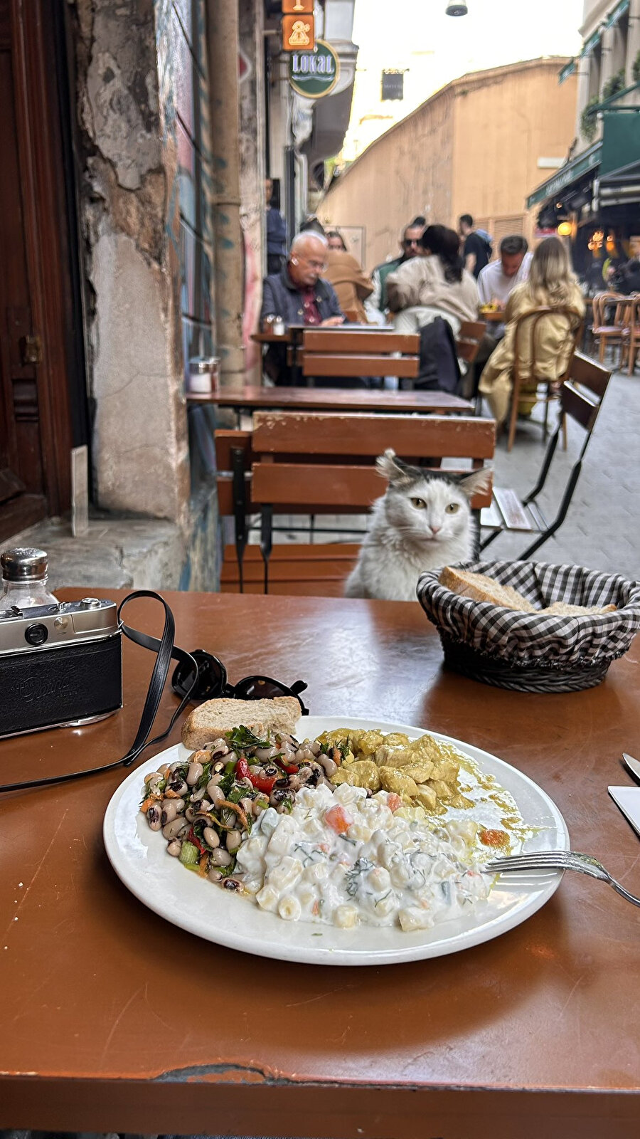 Kendi kuru ekmek yerken date'e çıktığı kişiye yemek ısmarlayan koca yürekli kedi