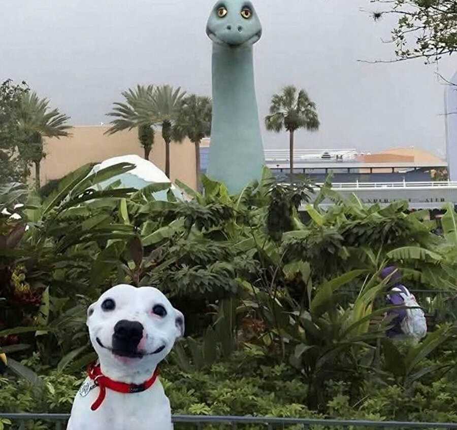 Bir fark göremiyoruz