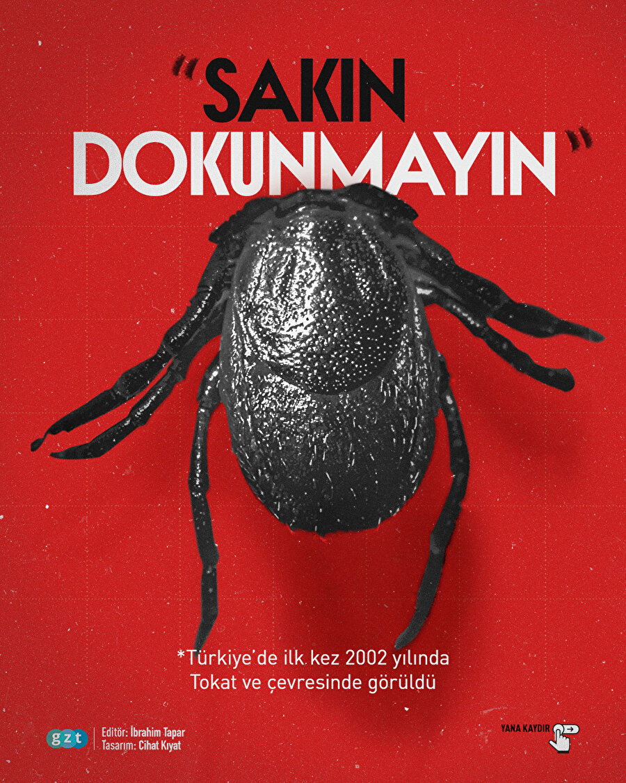 Bu illerde yaşayanlar dikkat: Kabus geri döndü, yılın ilk vakası görüldü